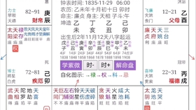 四不像玄机图2025，精准预测结果，精选资料解释大全