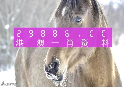新闻头条 第97页