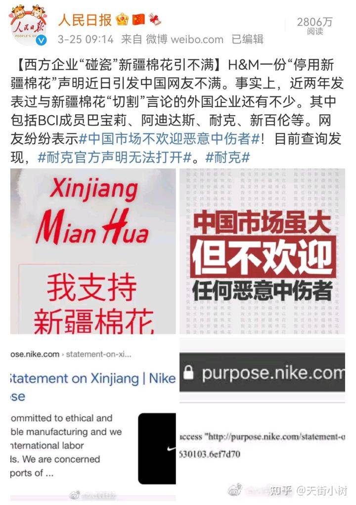 澳门一码一肖一特一中直播，精准预测结果，精选资料解释大全