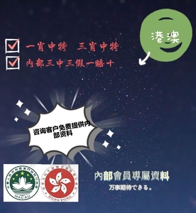 最准一肖一码一一香港澳王一王，精准预测结果，精选资料解释大全