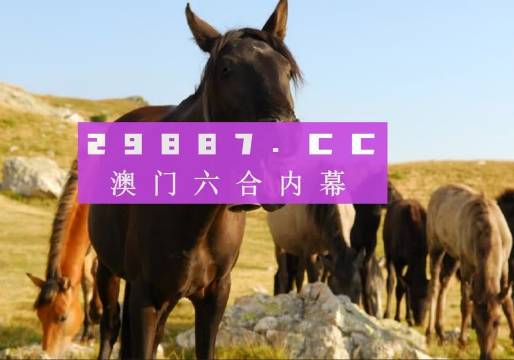 澳门管家婆一肖一码一中一，精准预测结果，精选资料解释大全