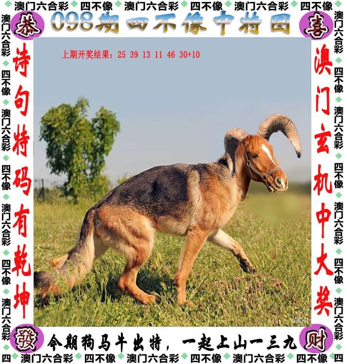 2025澳门精准四不像正版，精准预测结果，精选资料解释大全